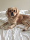 Charlie