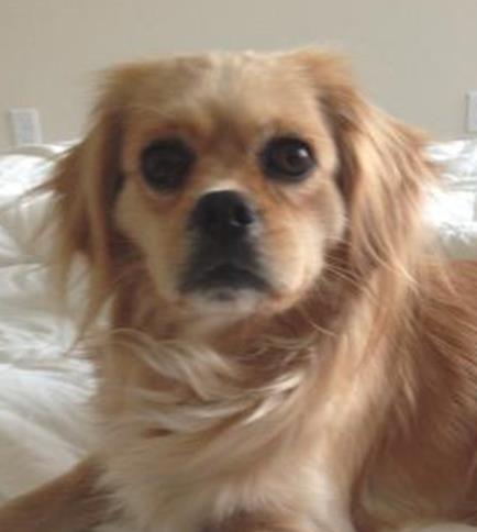 Charlie