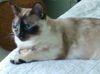 Carmela