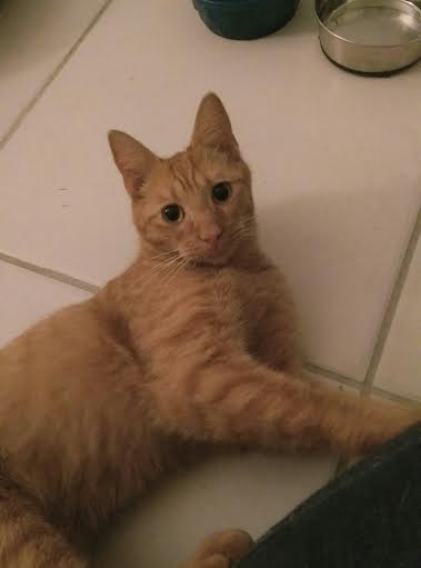 Copper