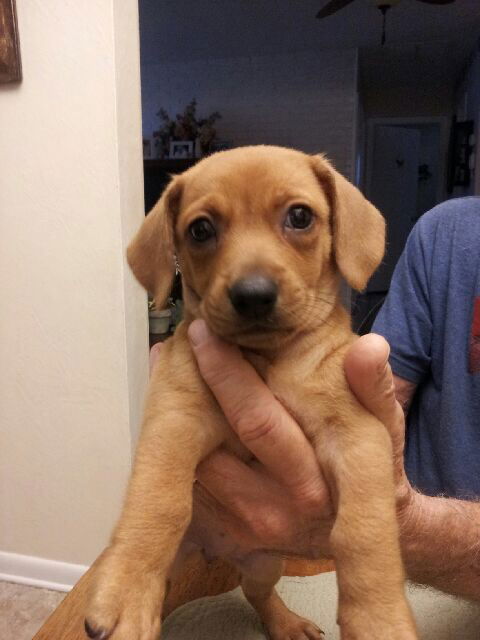 Molly