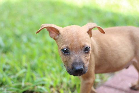 Jack