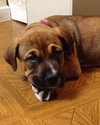 Lucy