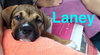 Lucy