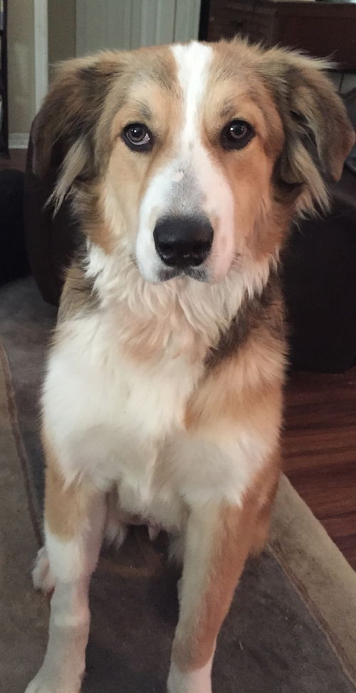 Max