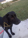 Jayda