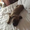 Jax