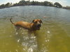 Buster