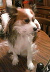 Lil' Man