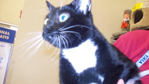Stubbs