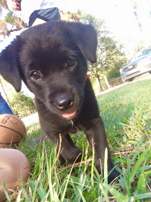 Ruby