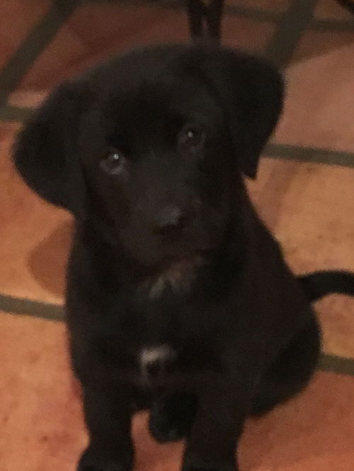 Vanna