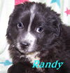 Randy