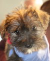 Laverne