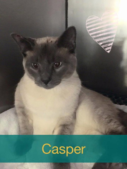 Casper