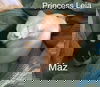 Maz