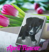April Flower