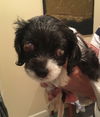 Miss Moneypenny