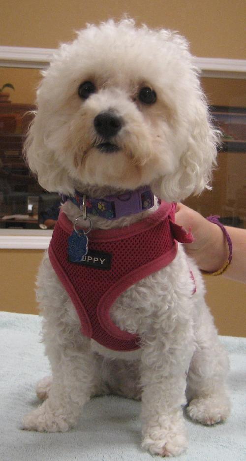 Molly