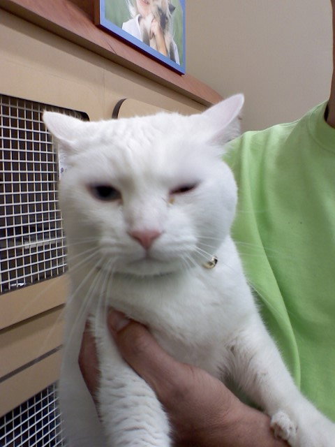 Casper