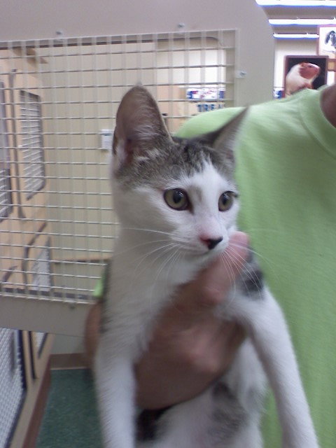 Howie