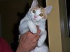 Amy