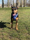 Winnie