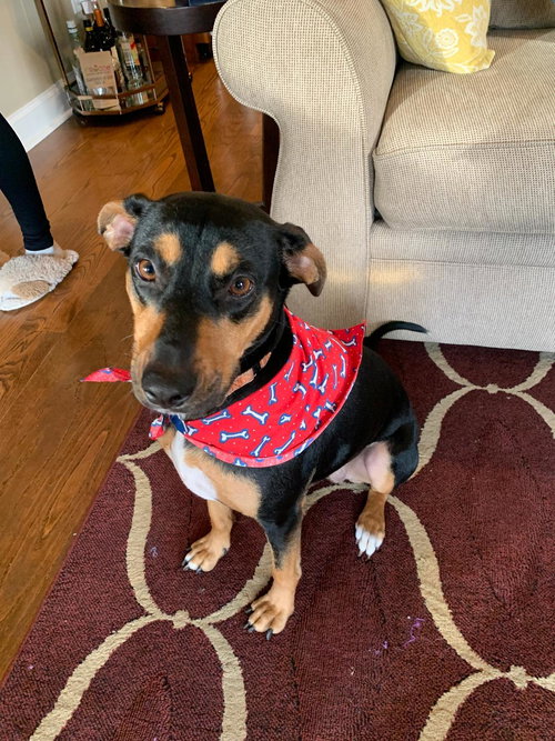 Winnie