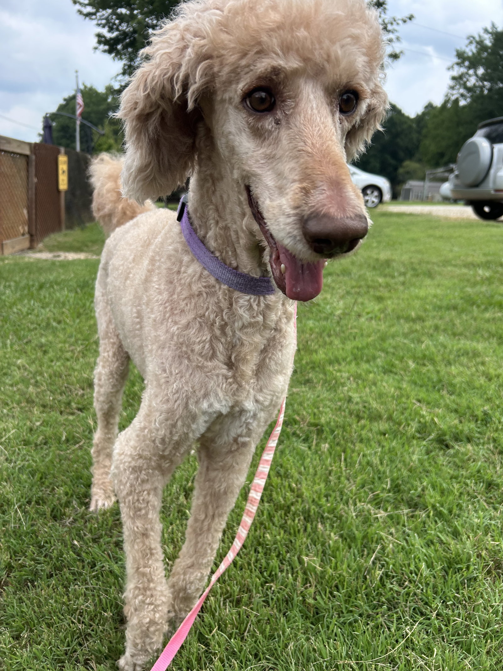 Photo 6 of 7 — Tessa July 26