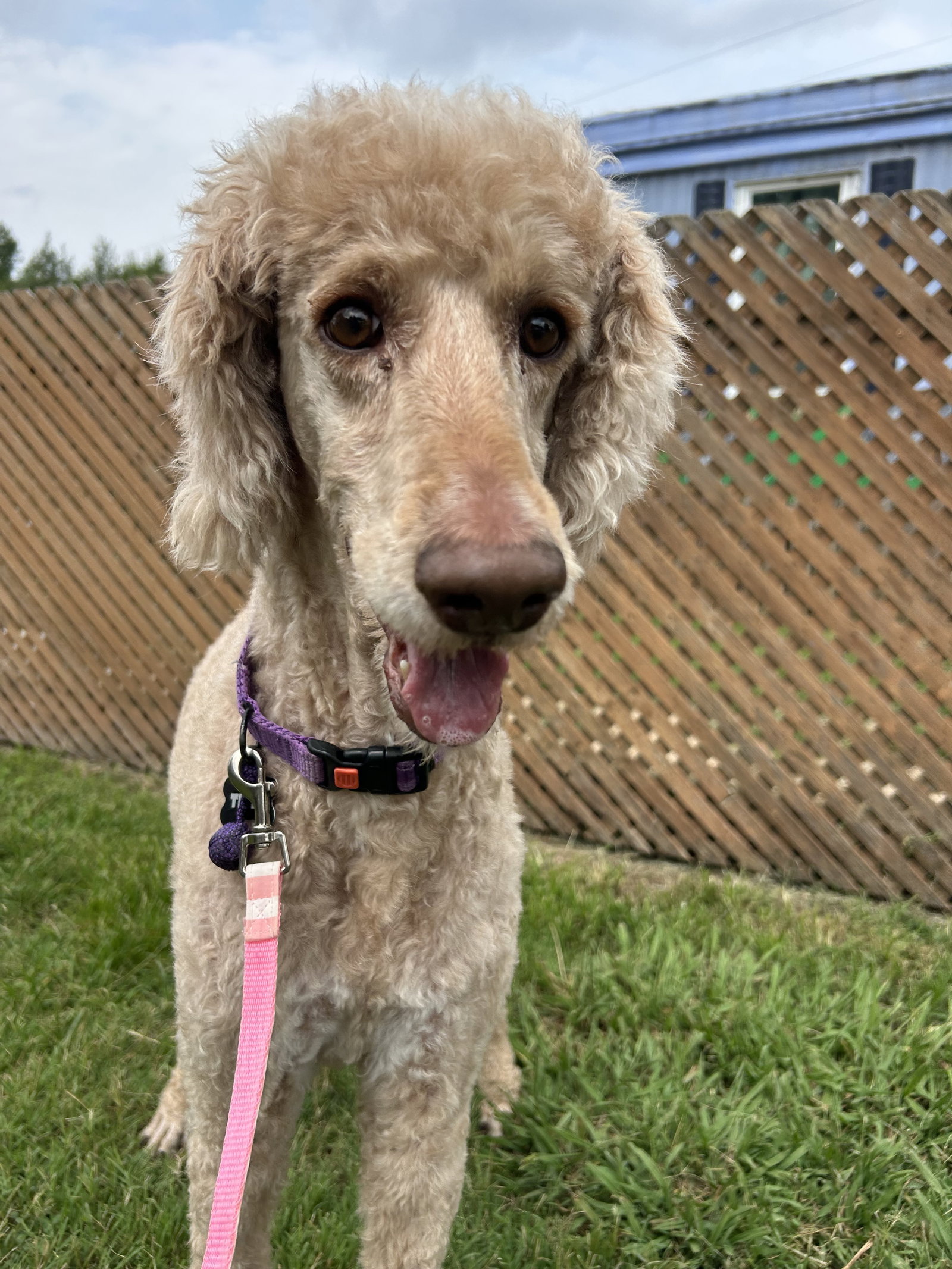 Photo 4 of 7 — Tessa July 26