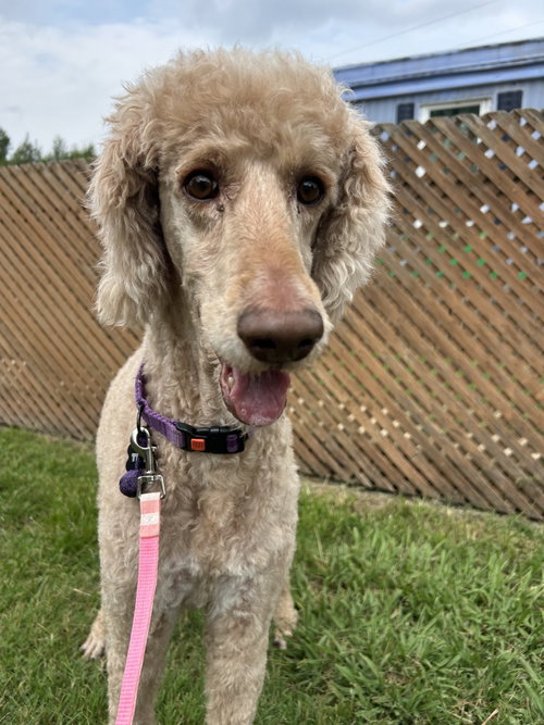 Tessa July 26, photo 4