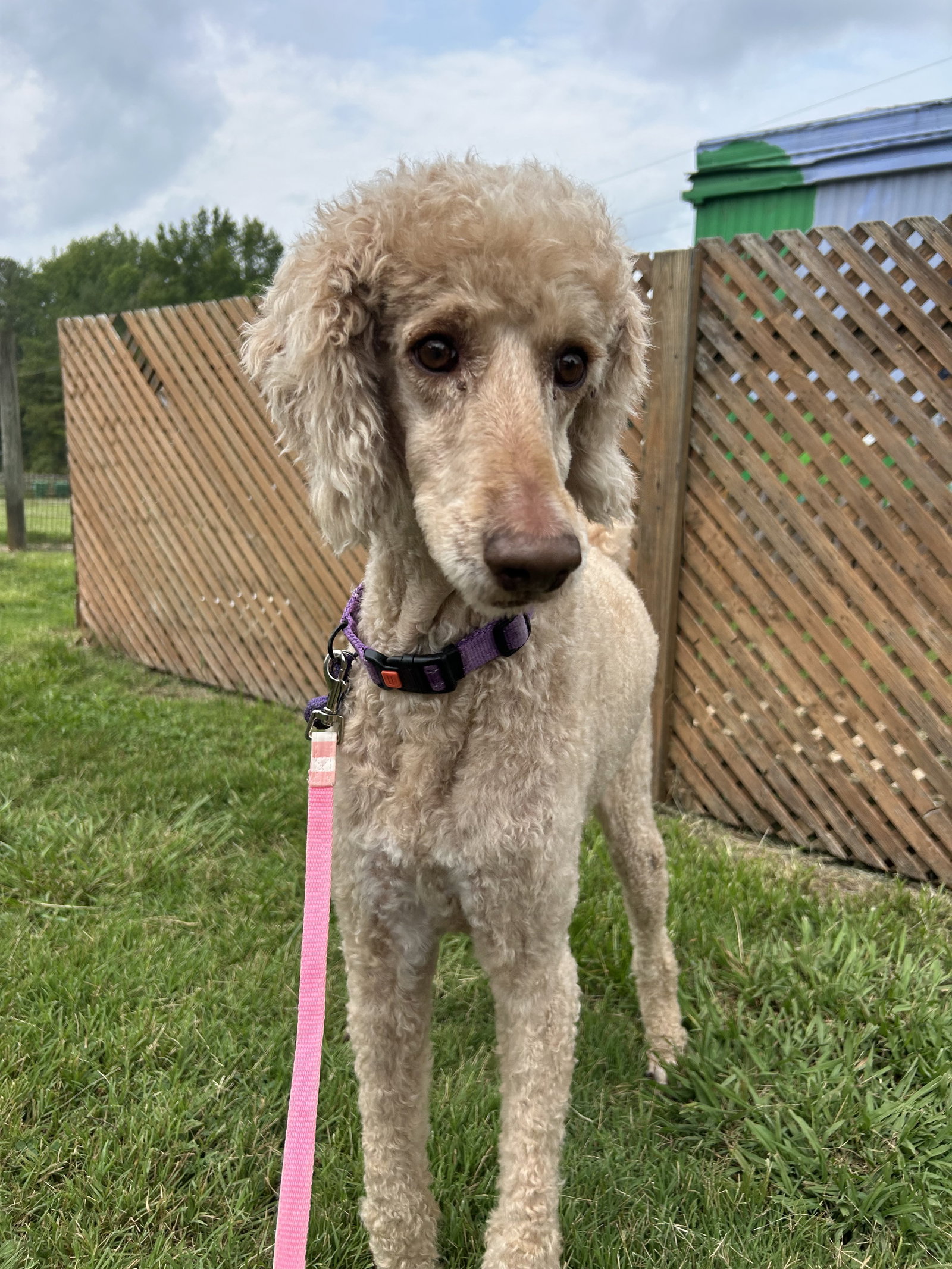 Photo 5 of 7 — Tessa July 26