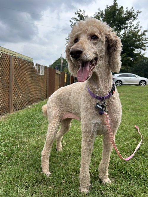 Tessa July 26, photo 3