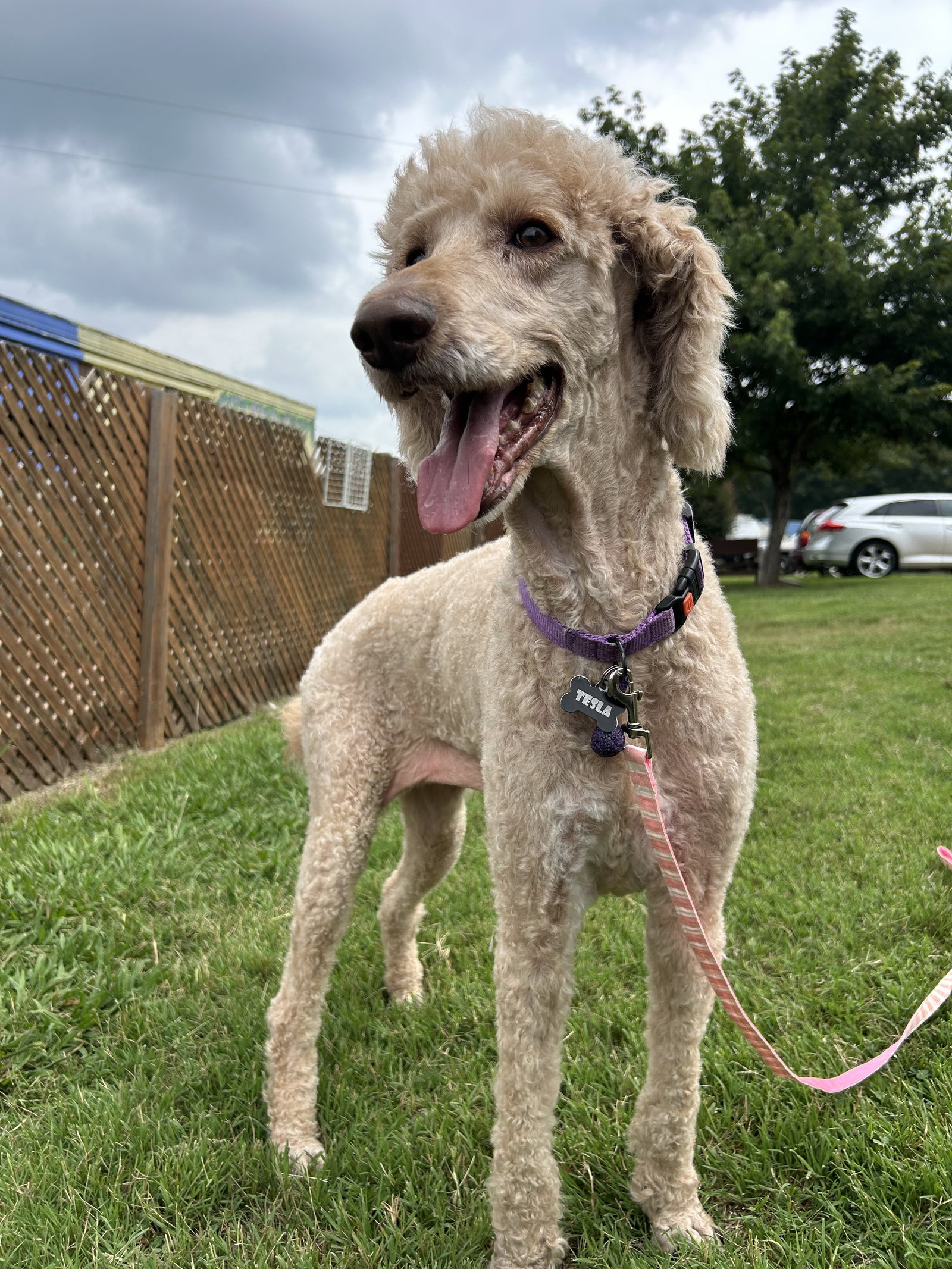 Photo 7 of 7 — Tessa July 26