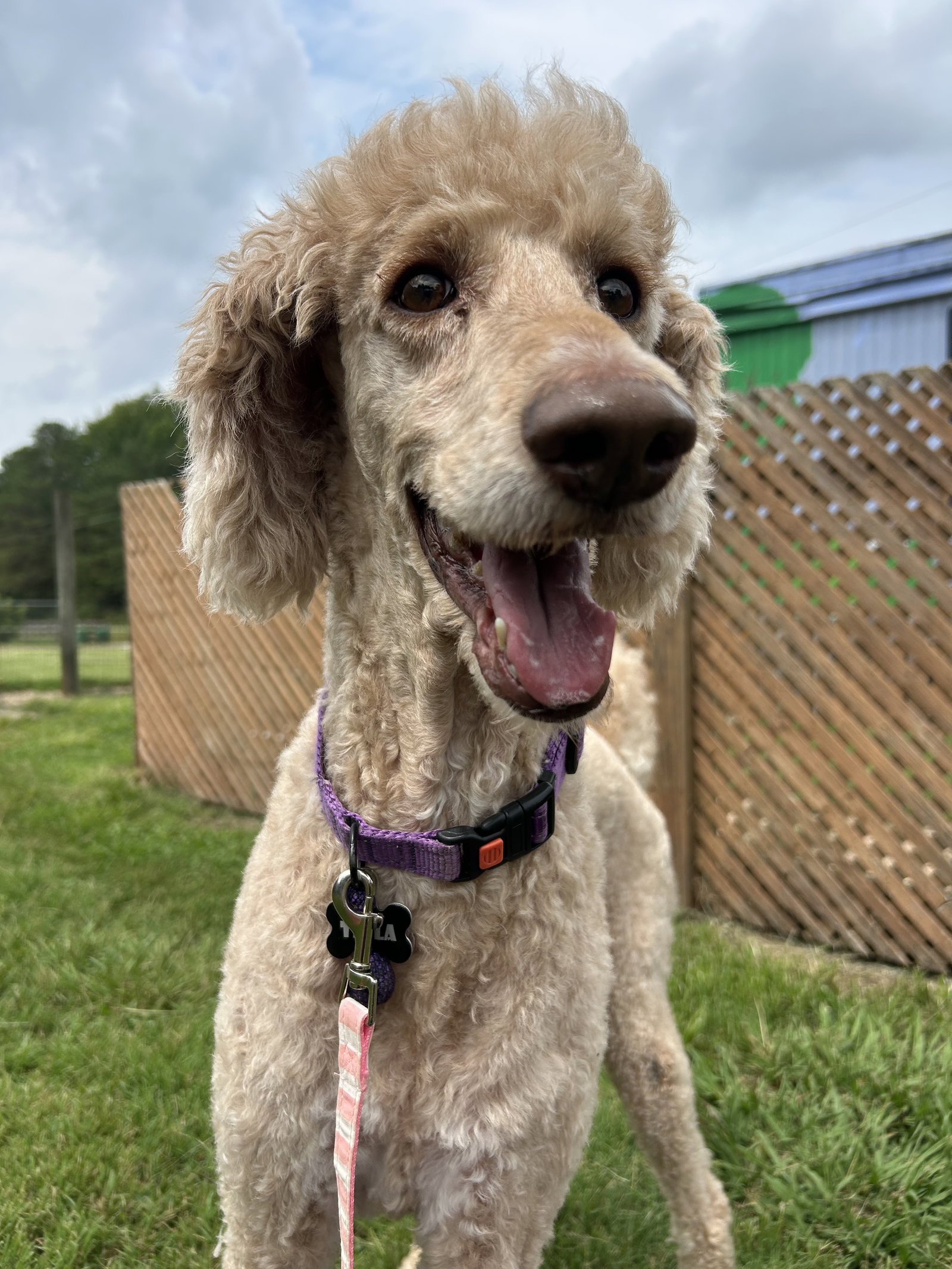 Photo 2 of 7 — Tessa July 26