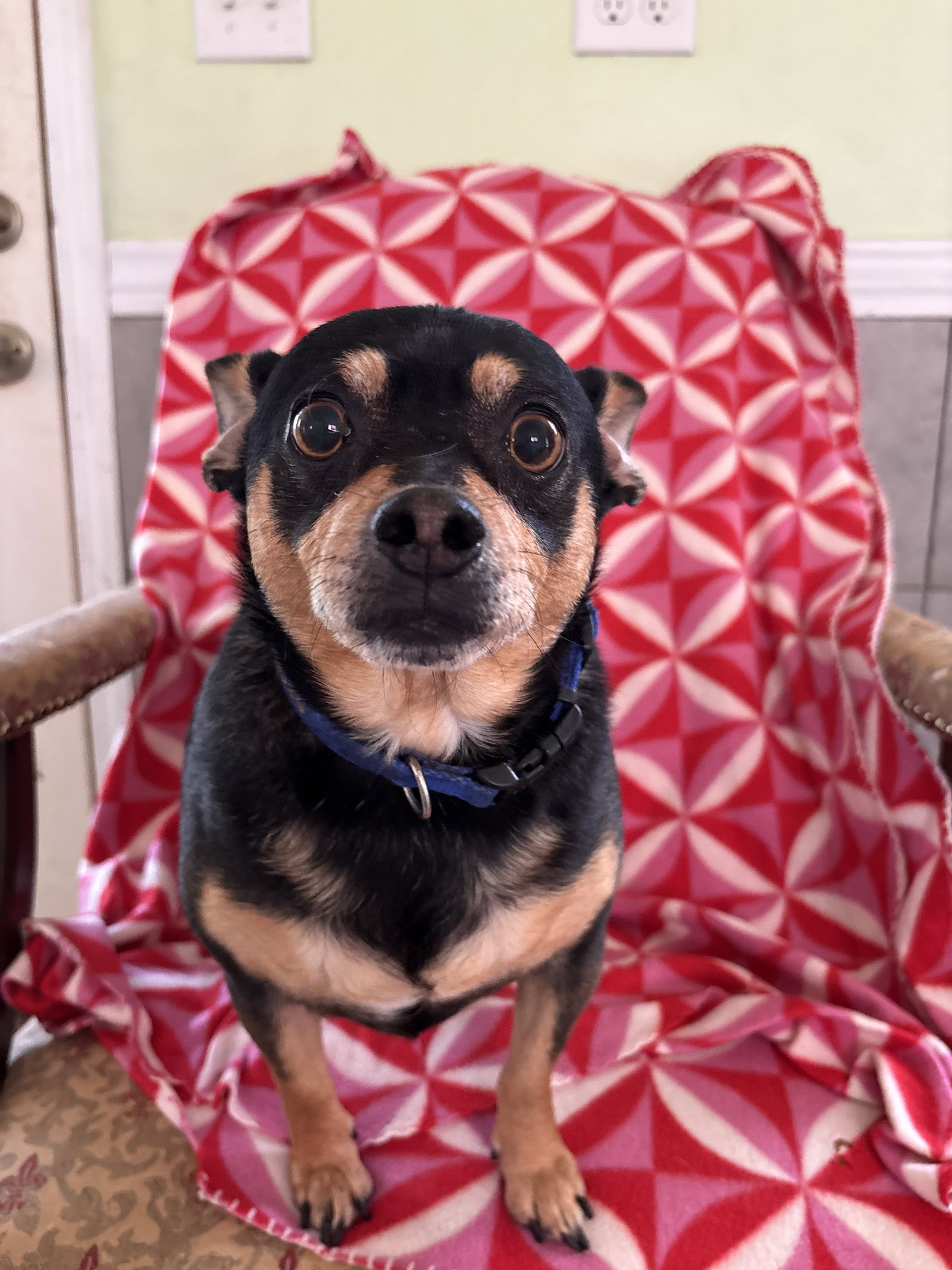 Photo of Louie Sep 26
