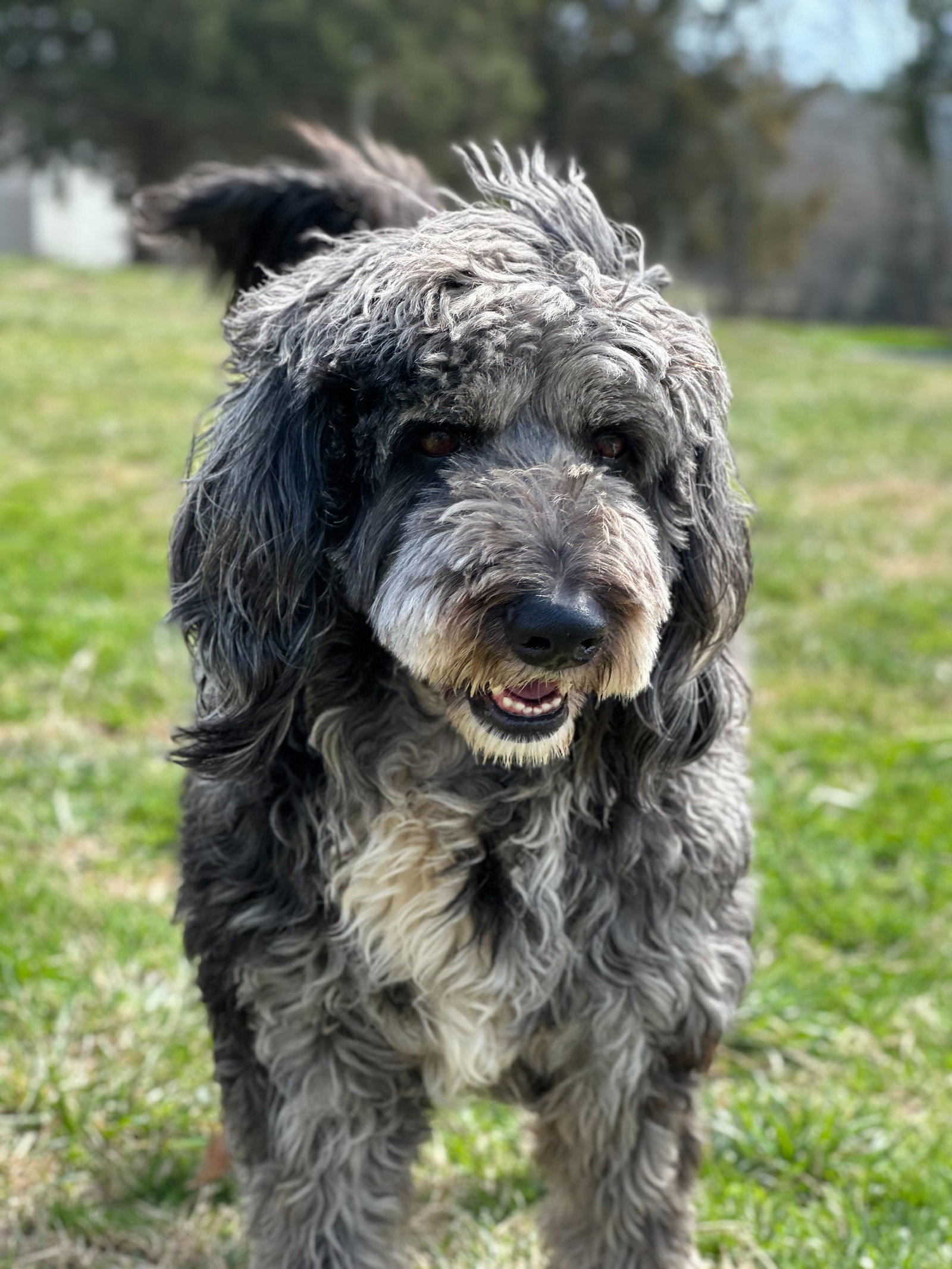 Photo of Baxter of Stafford 