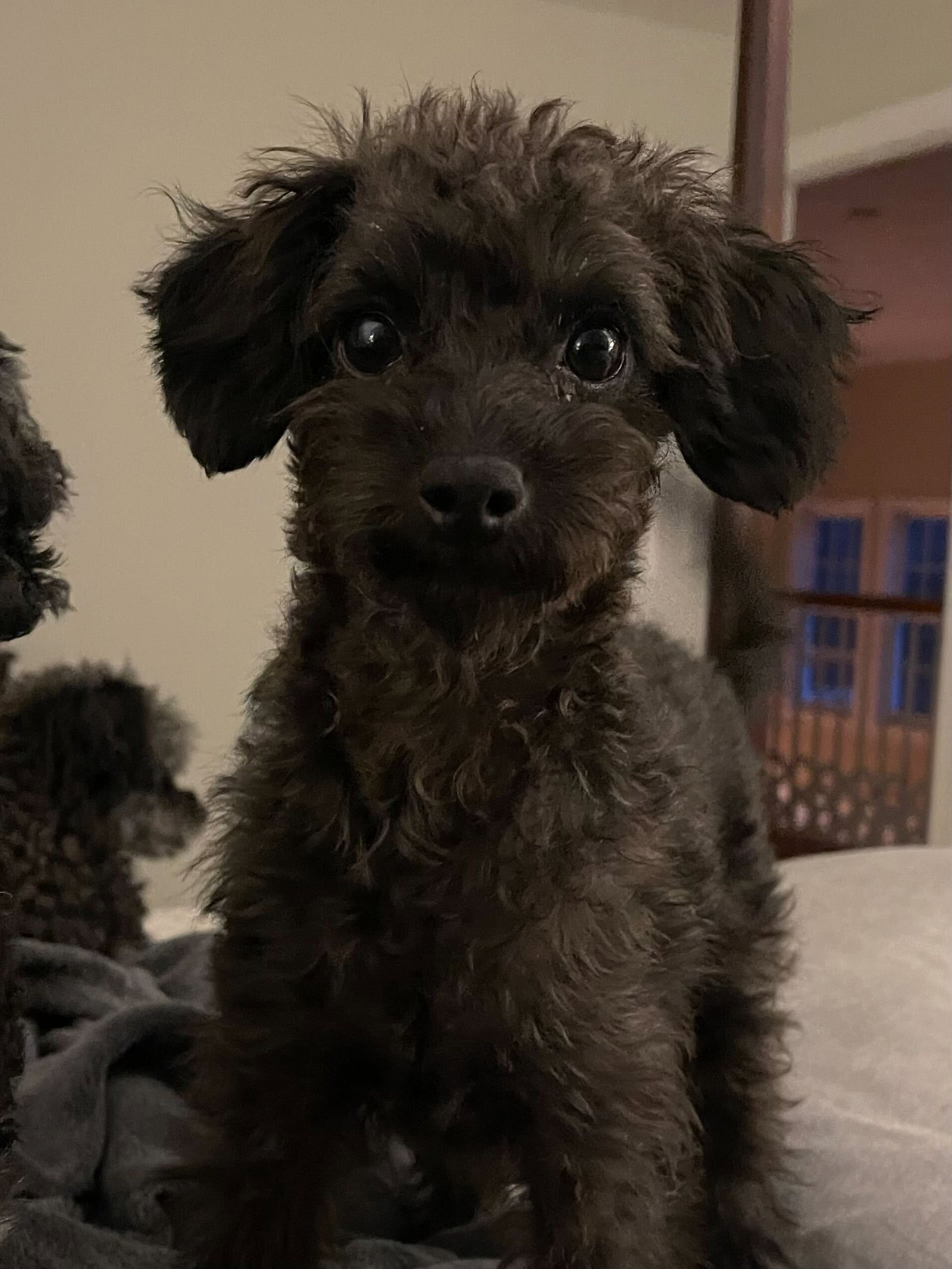 Photo of Ernest 
