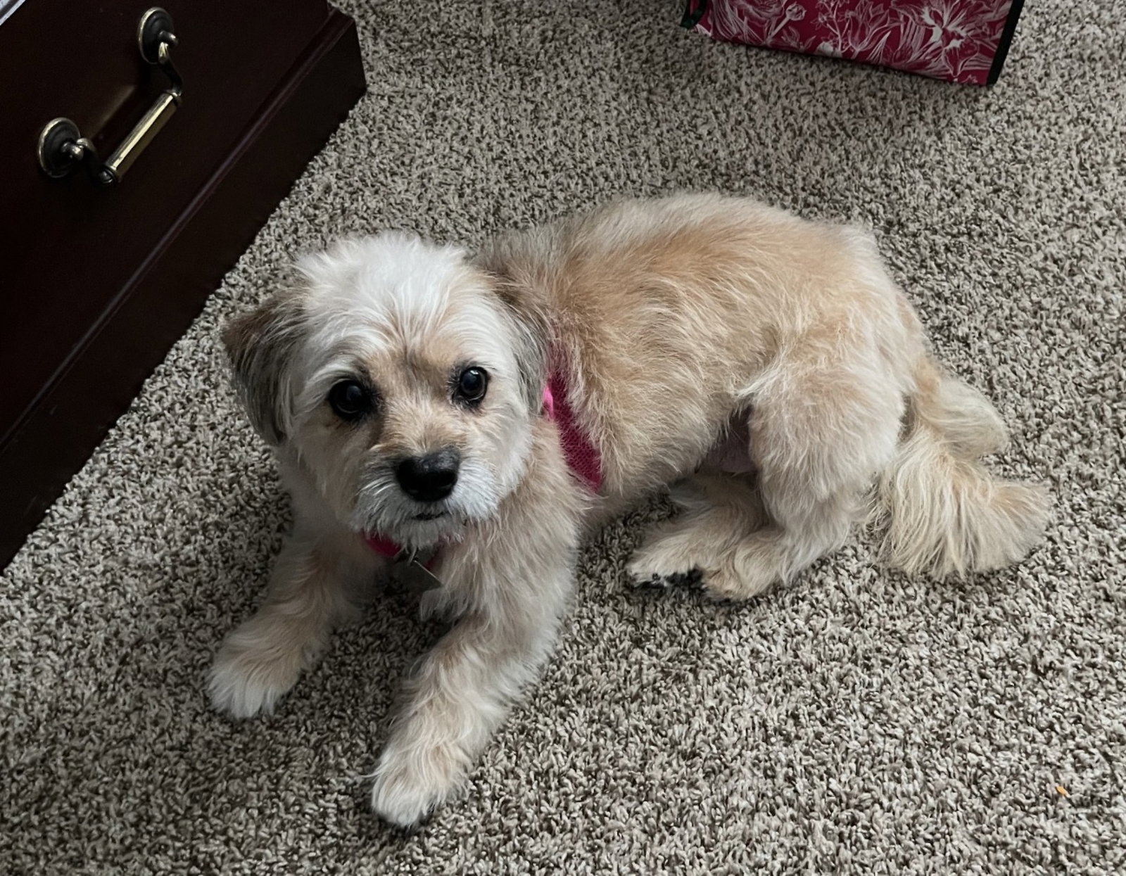 Photo 2 of 7 — Molly Mar 26