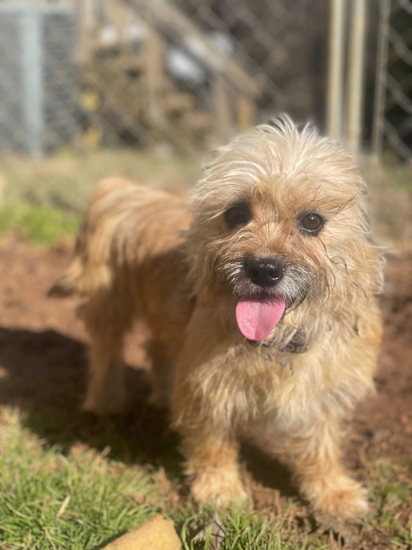 Photo 4 of 7 — Molly Mar 26