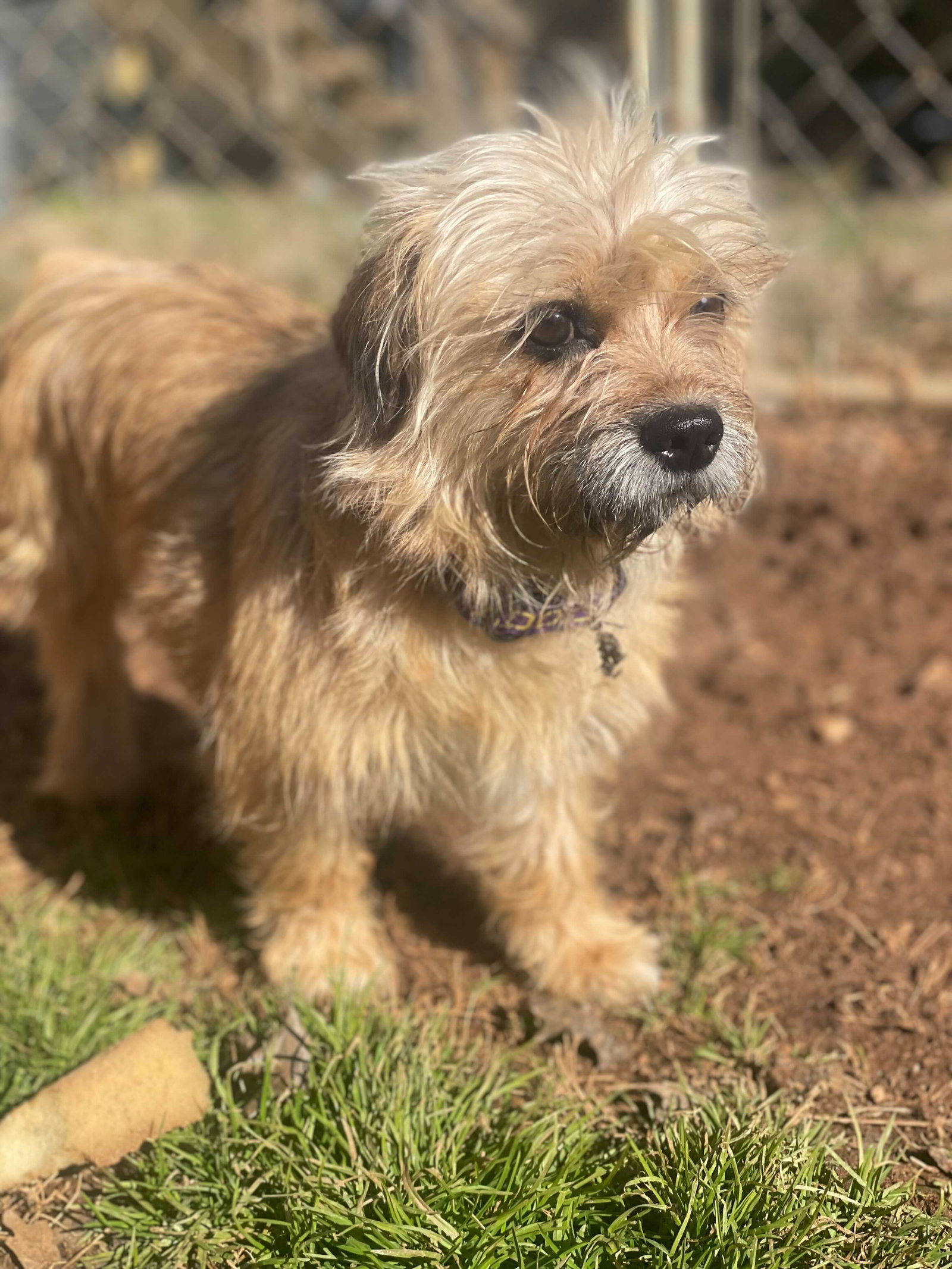 Photo 6 of 7 — Molly Mar 26