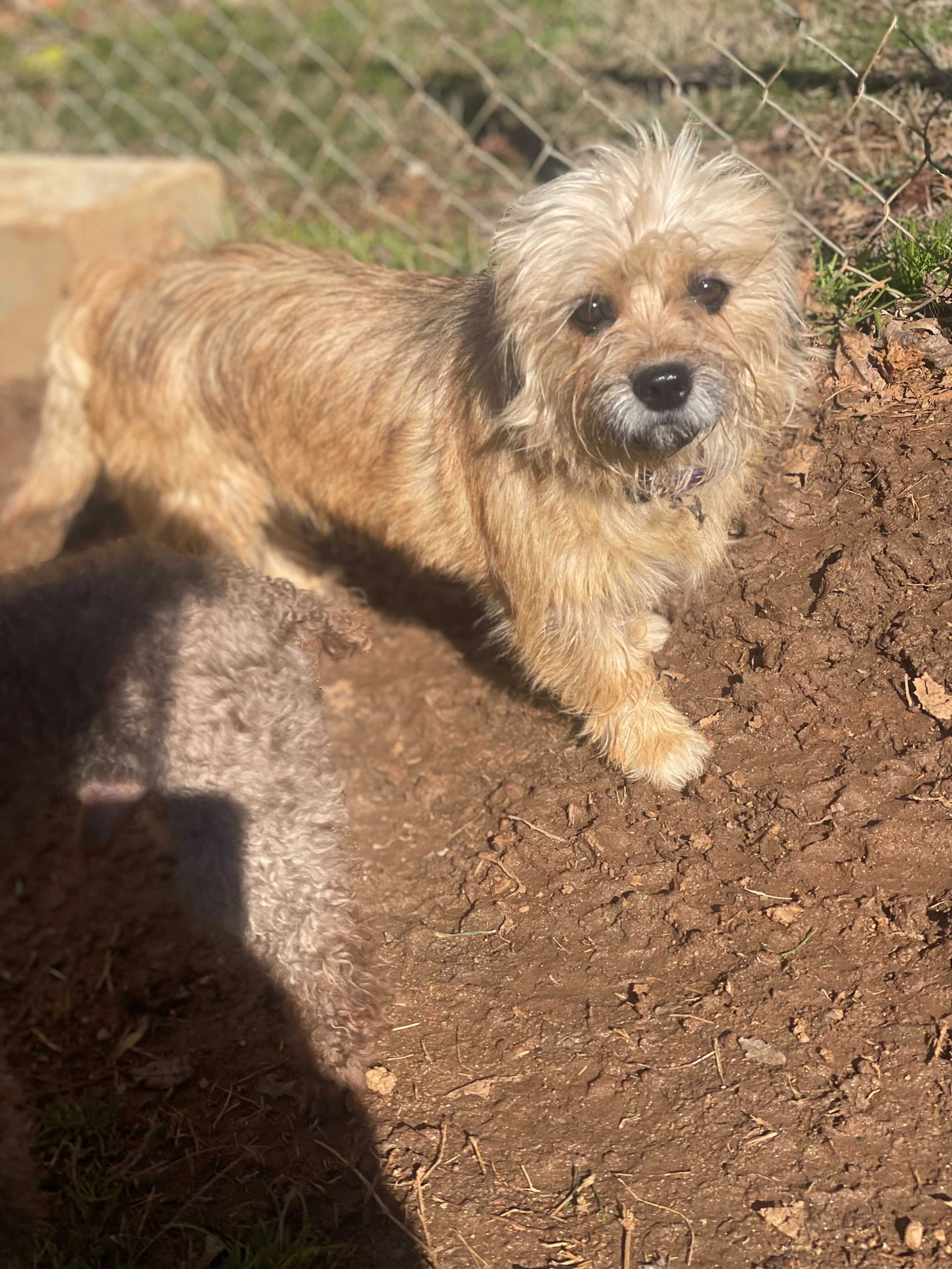 Photo 7 of 7 — Molly Mar 26