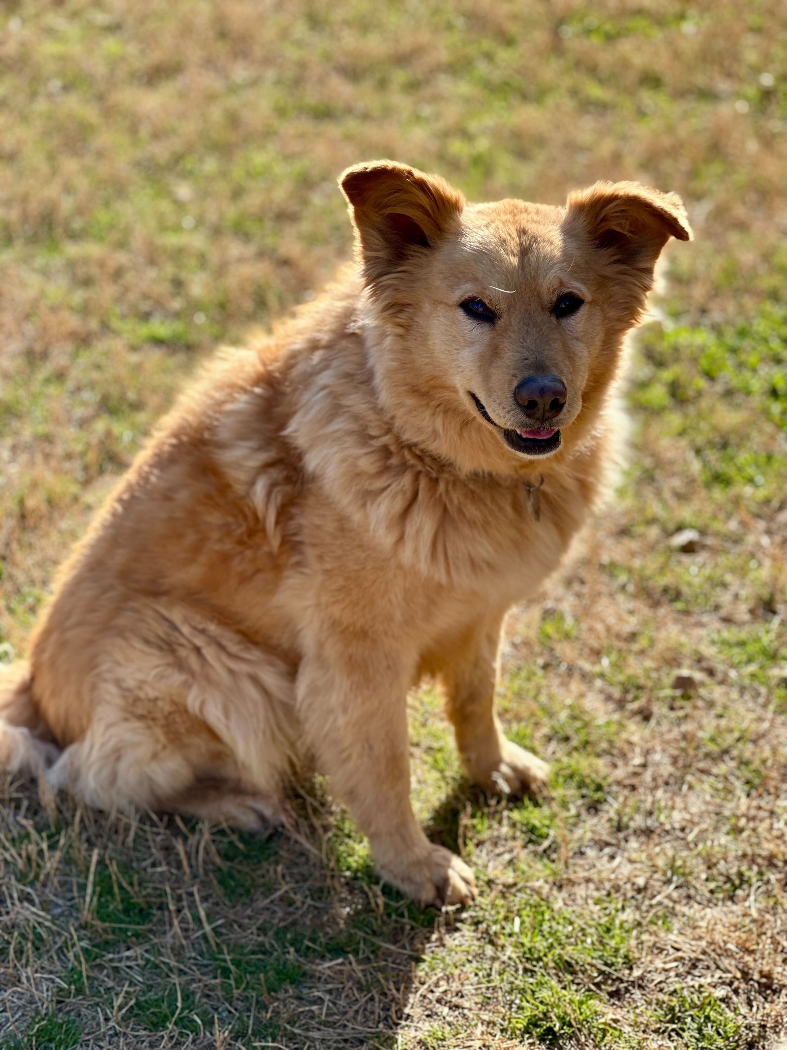 Photo of Starla Feb 22 