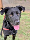 Maxwell May 22 - Photo 2