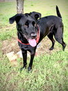 Maxwell May 22 - Photo 3