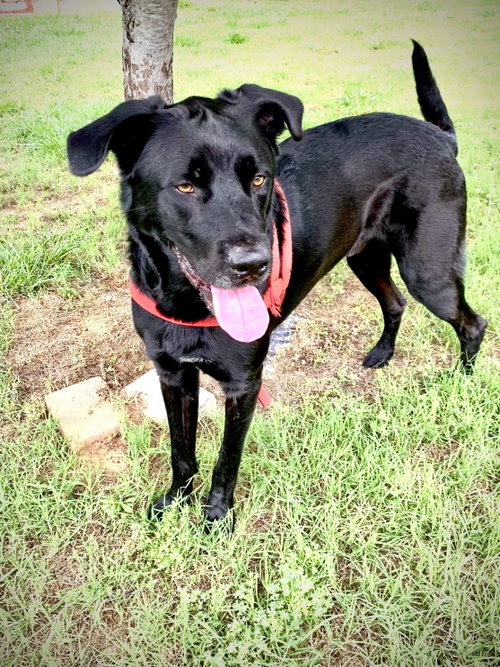 Photo 3 of Maxwell May 22