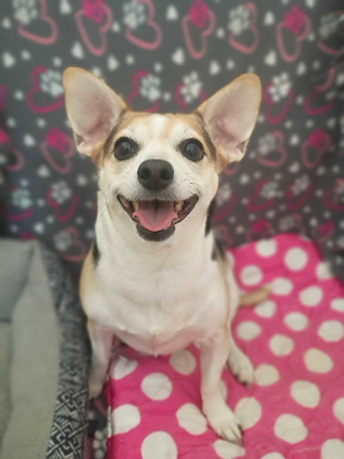 Sweet Girl Lamore Aug 22
