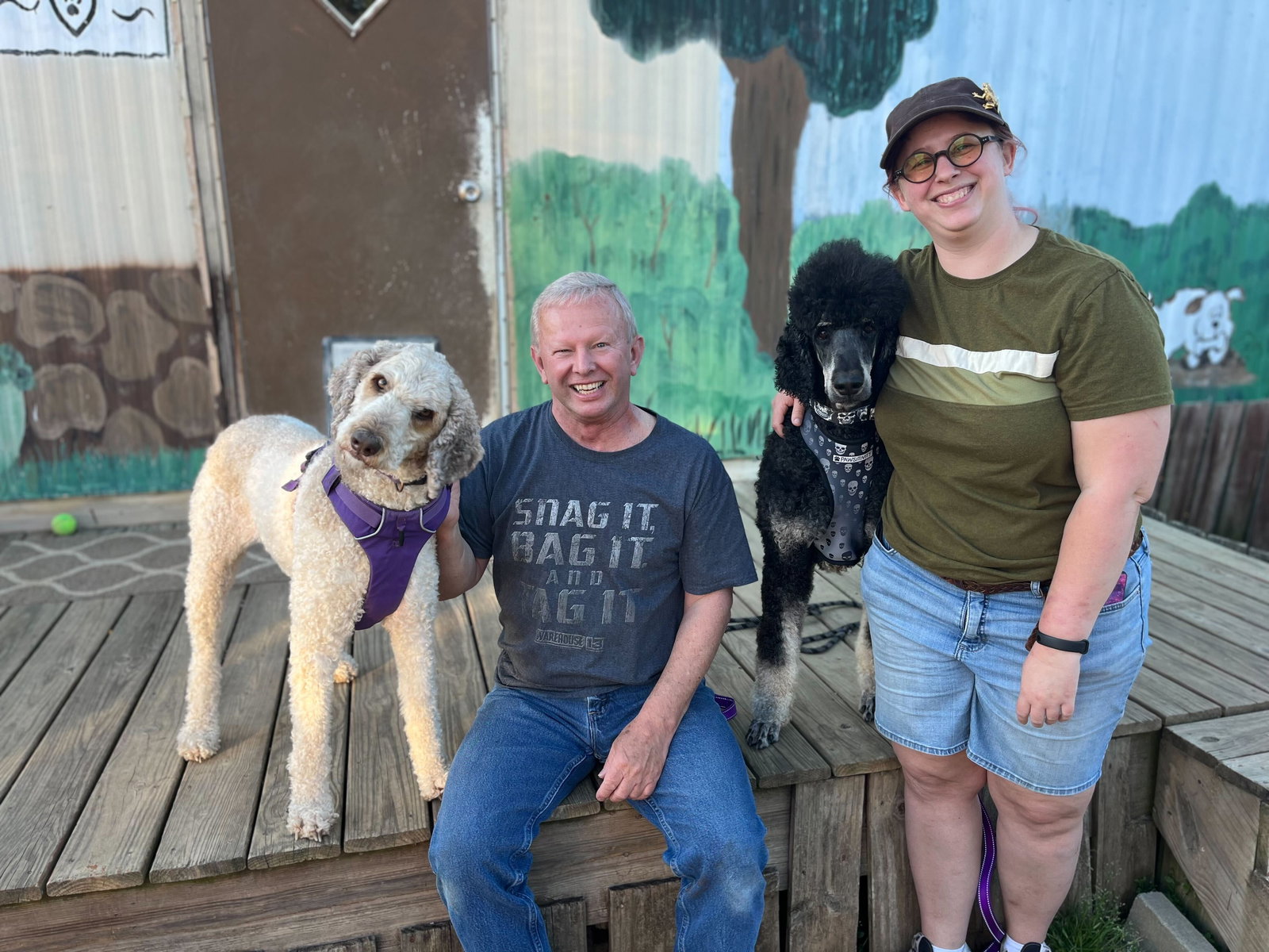 Dog adoption in Pacolet, SC 29372 Poodle (Standard) (long coat) Dog