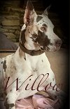 adoptable Dog in pacolet, SC named Willow Feb 23