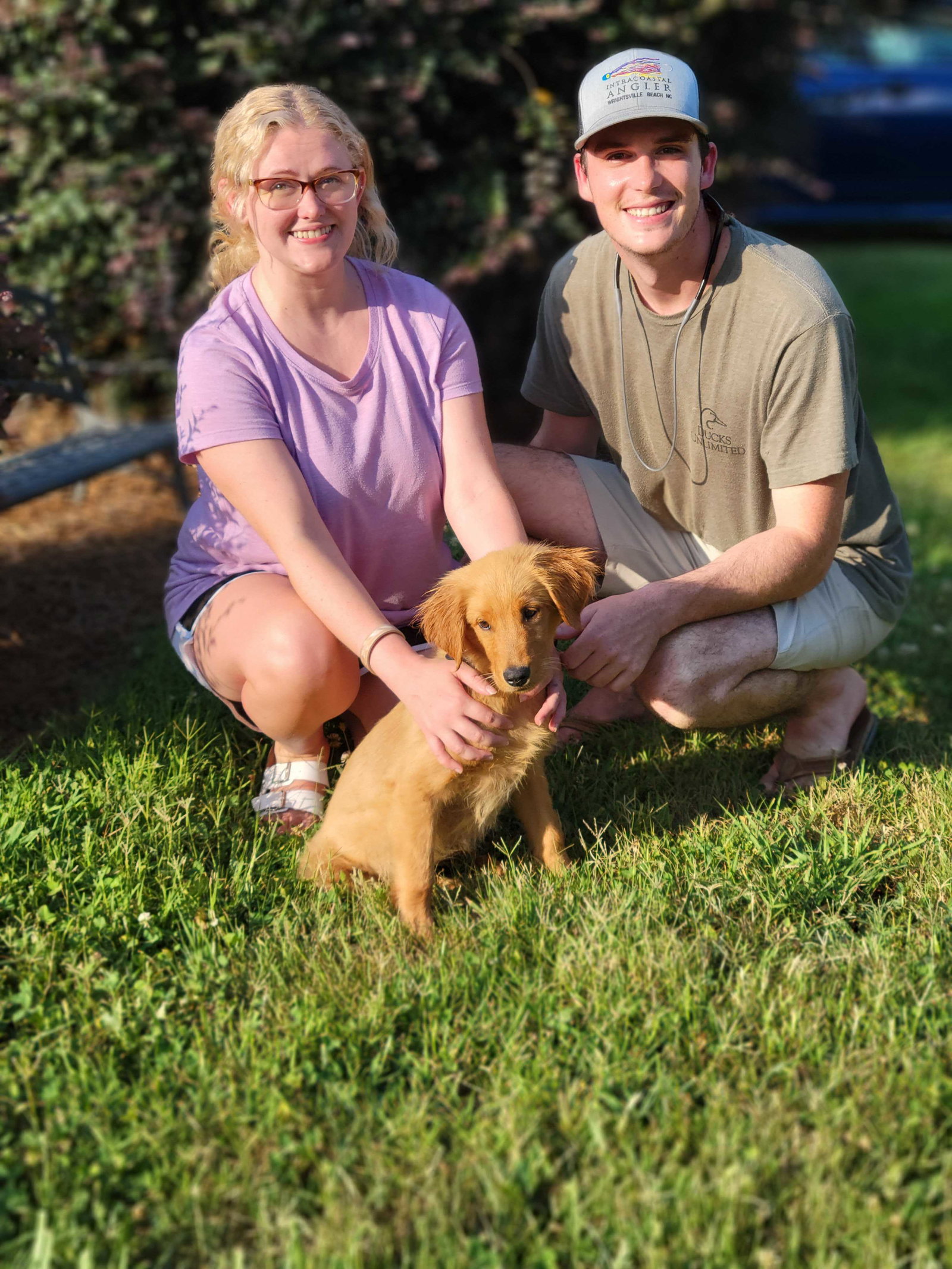 Dog for Adoption Astrid Jun 23, a Golden Retriever in Greenville, SC